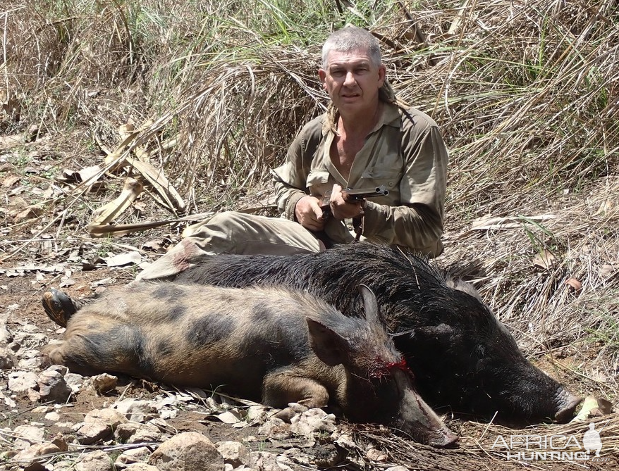 Bushpig Hunting