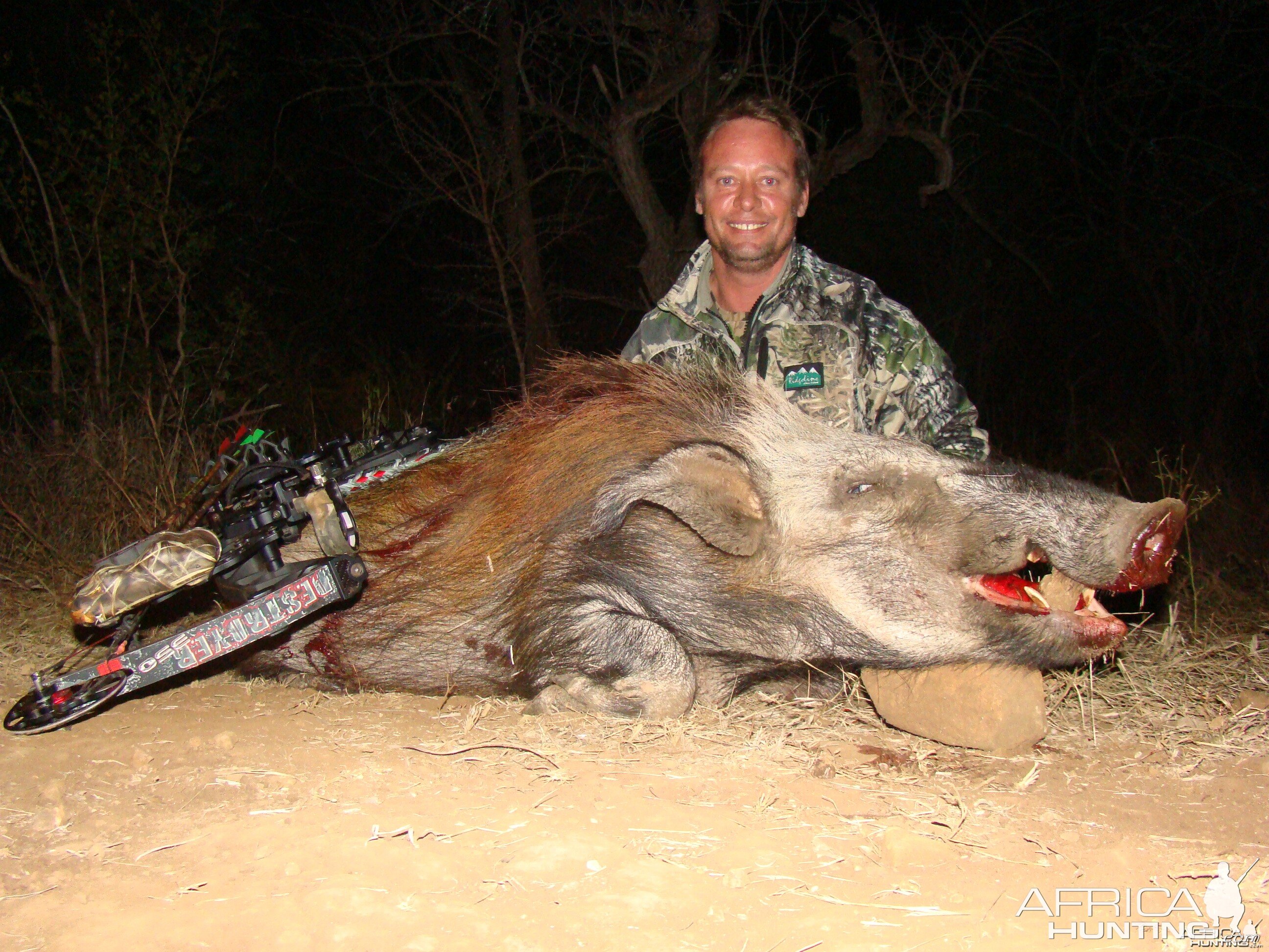 Bushpig Leeukop Safaris