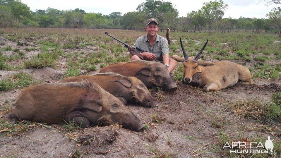 Bushpig & Reedbuck Hunting Mozambique