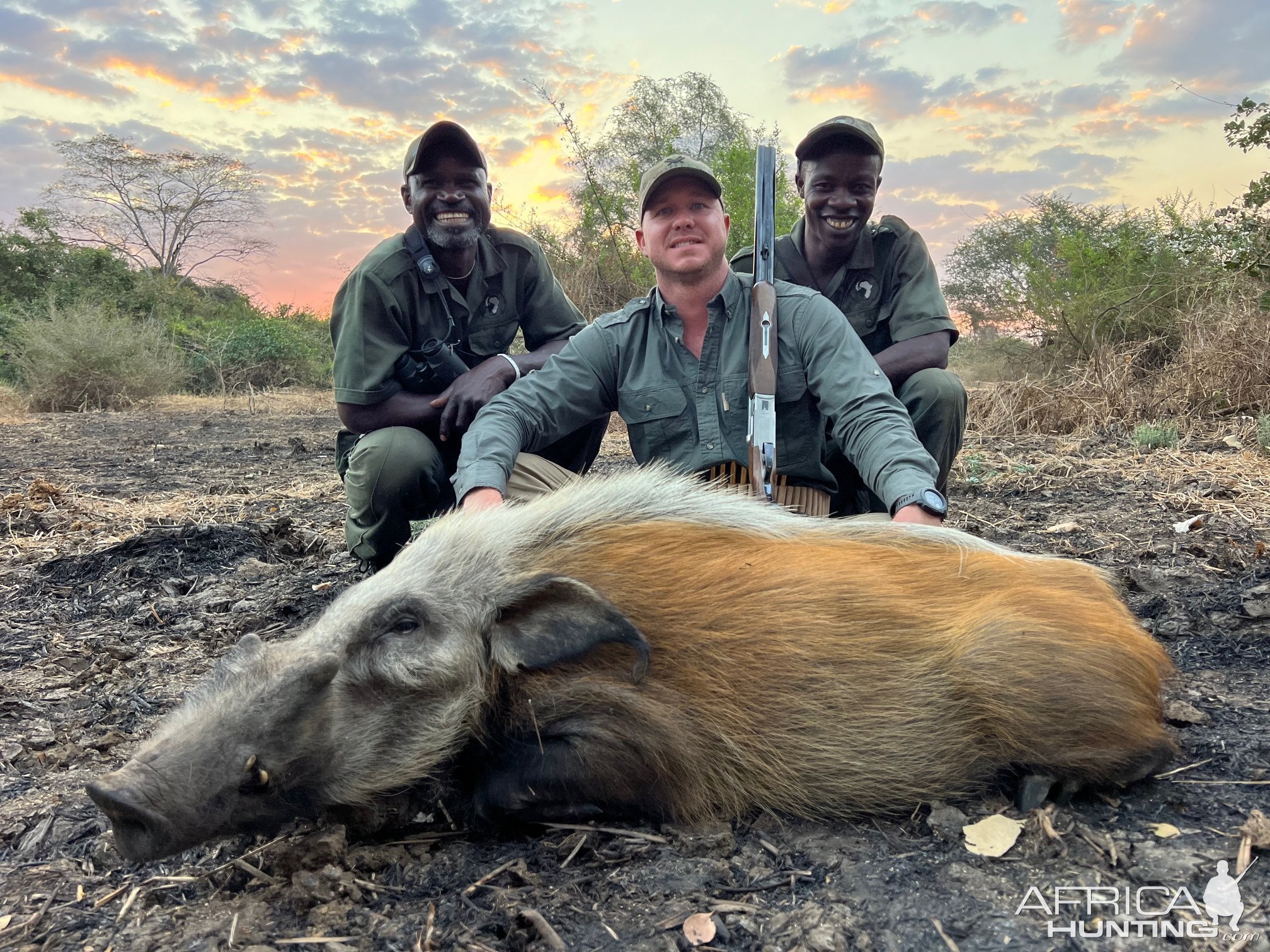 Bushpig & Trackers Niassa Mozambique