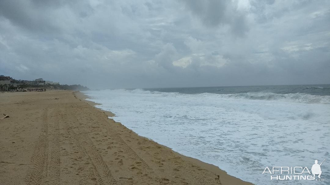 Cabo San Lucas Mexico