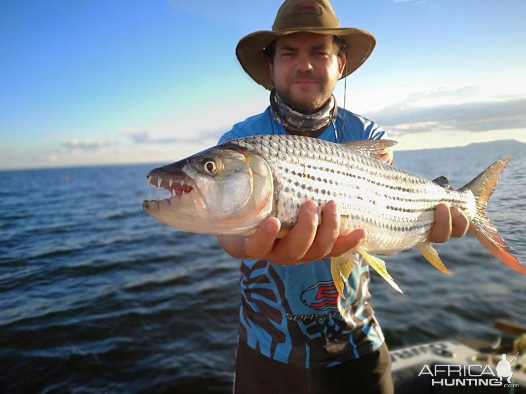 Cahora Bassa Mozambique Tigerfish Fishing