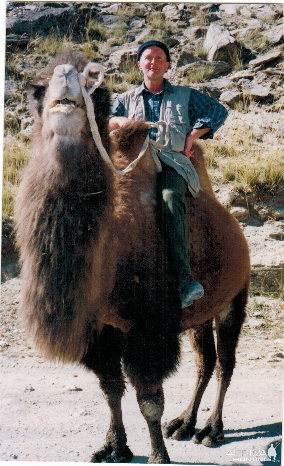 Camel Riding