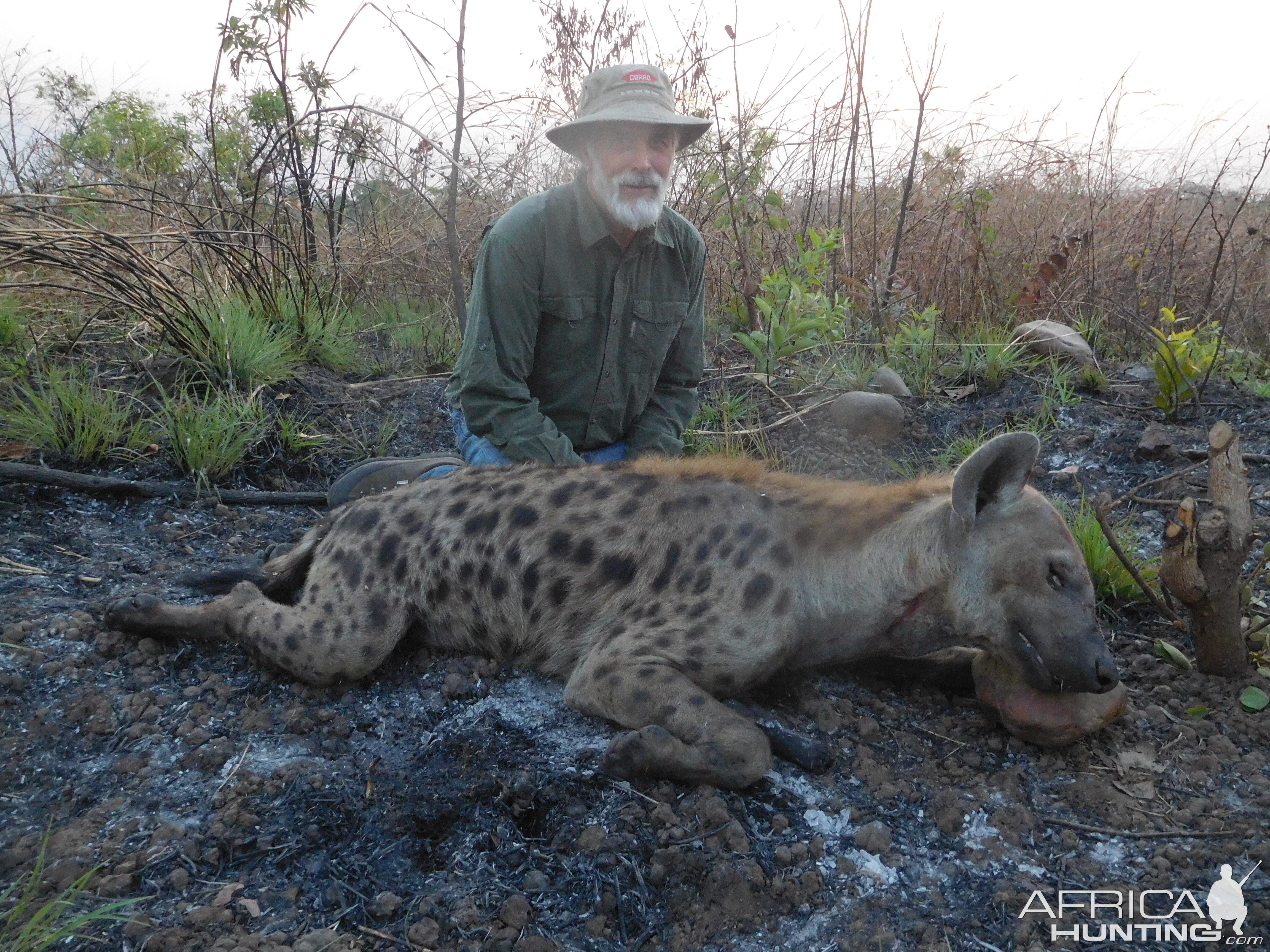 Cameroon Hunt Spotted Hyena