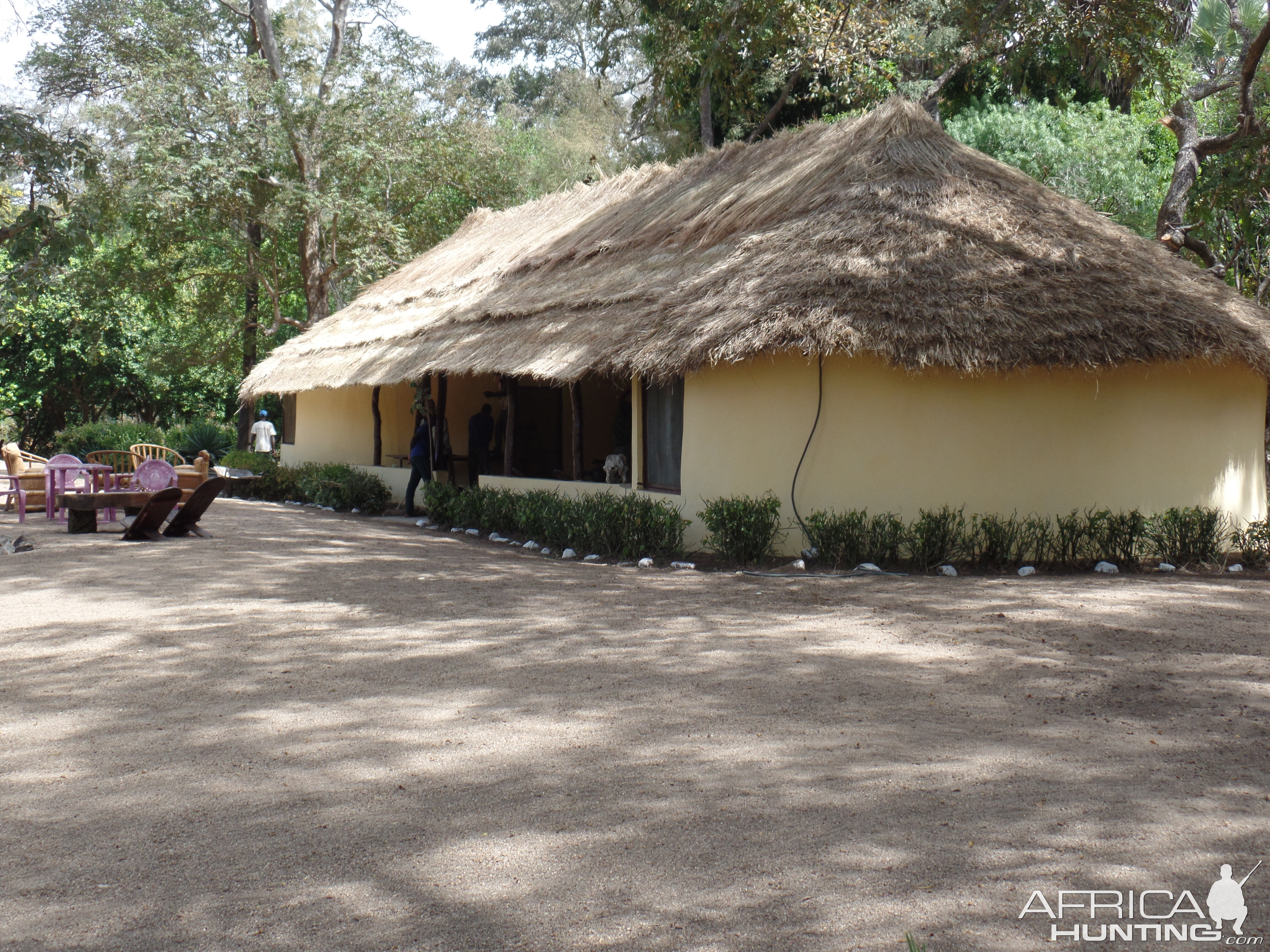 Cameroon Hunt With JKO HUNTING SAFARIS