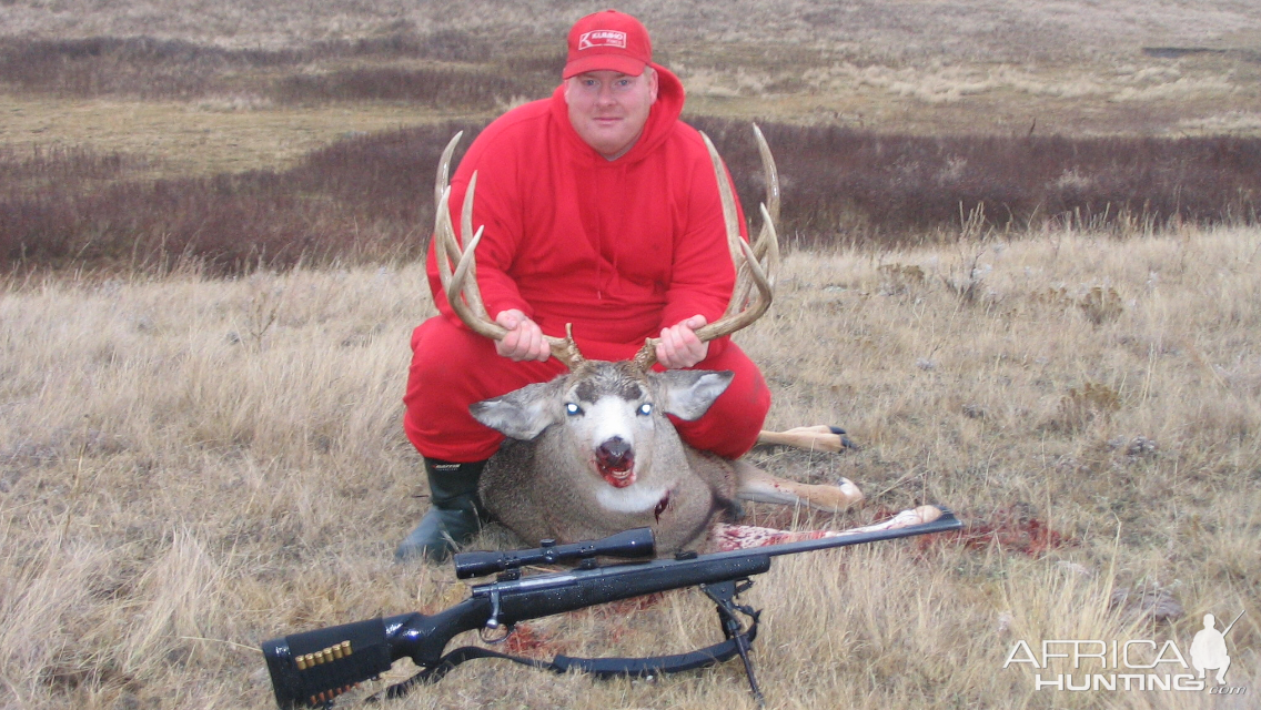 Canada Hunt Mule Deer