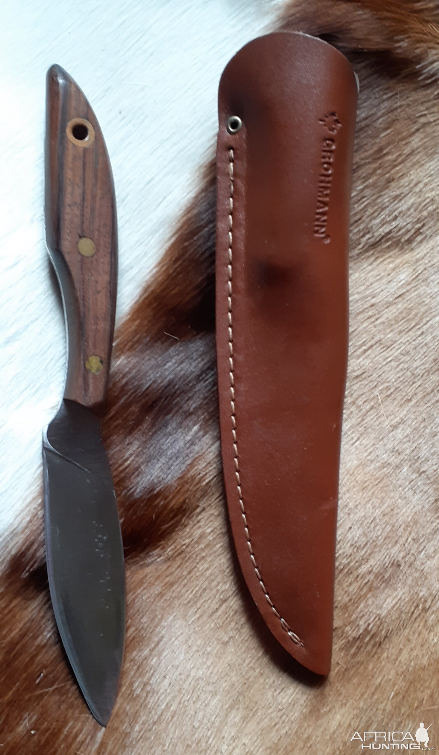 Canadian belt Knife by Grohman