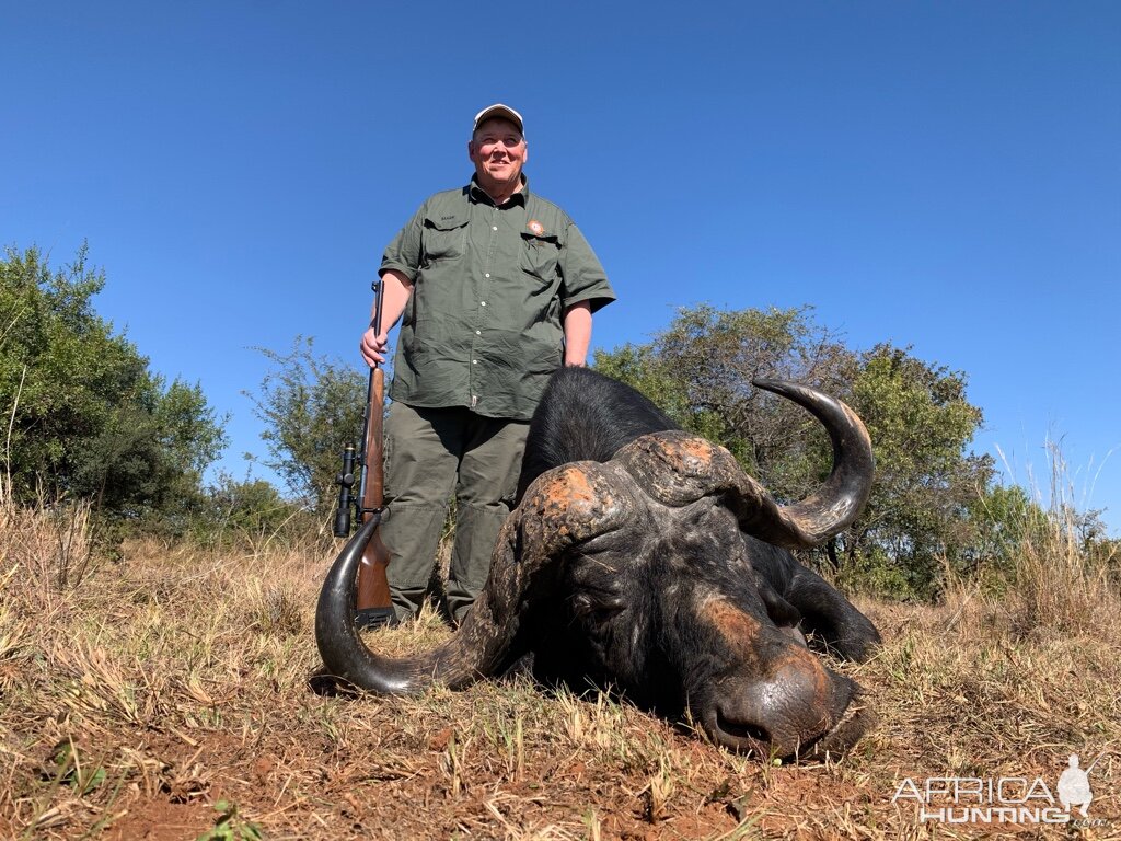 Cape Buffalo Bull Hunt South Africa