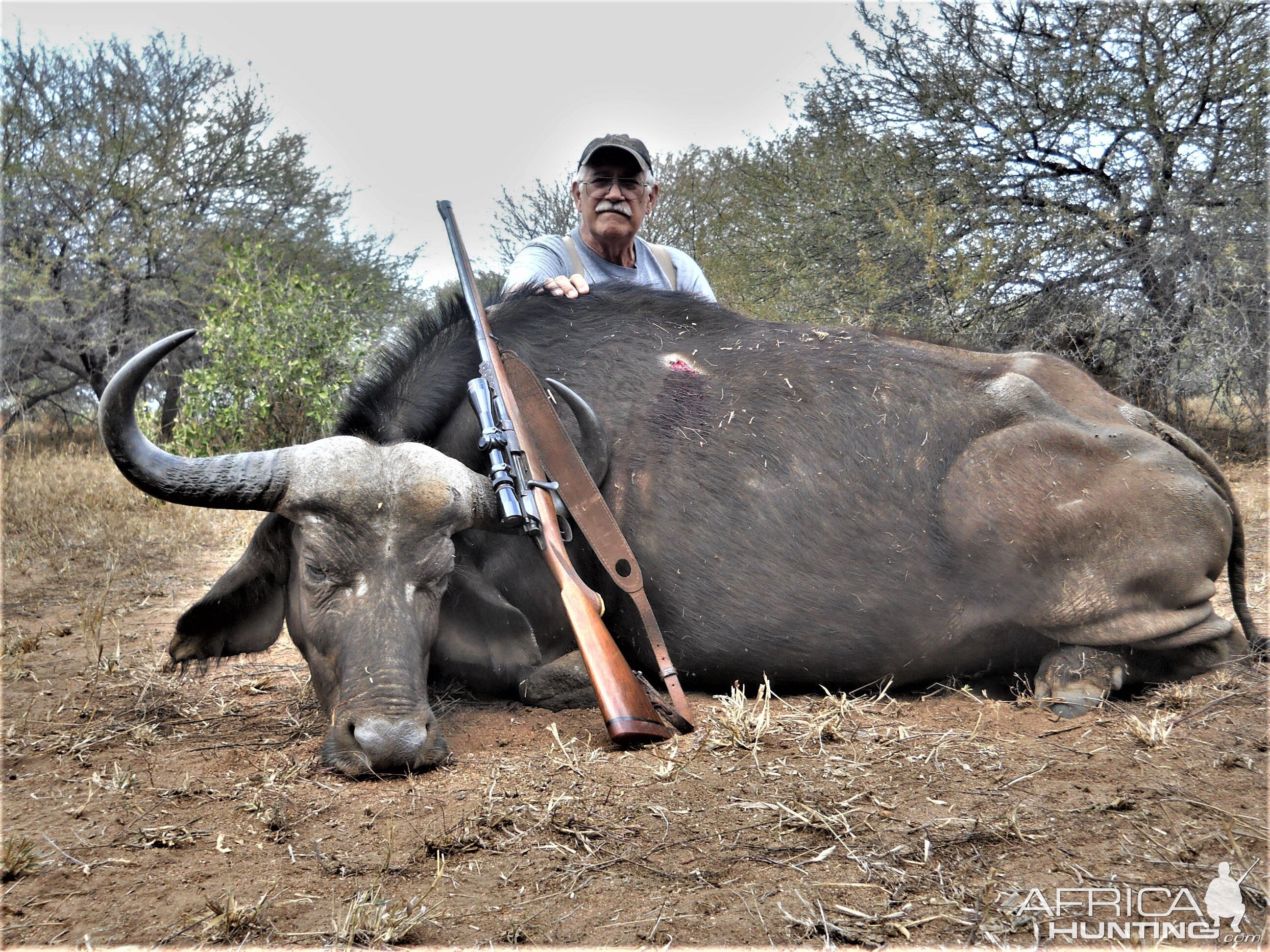 Cape Buffalo Cow Hunt