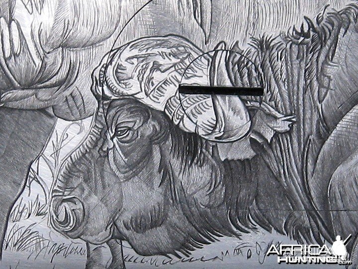 Cape Buffalo Engraving on Double Rifle