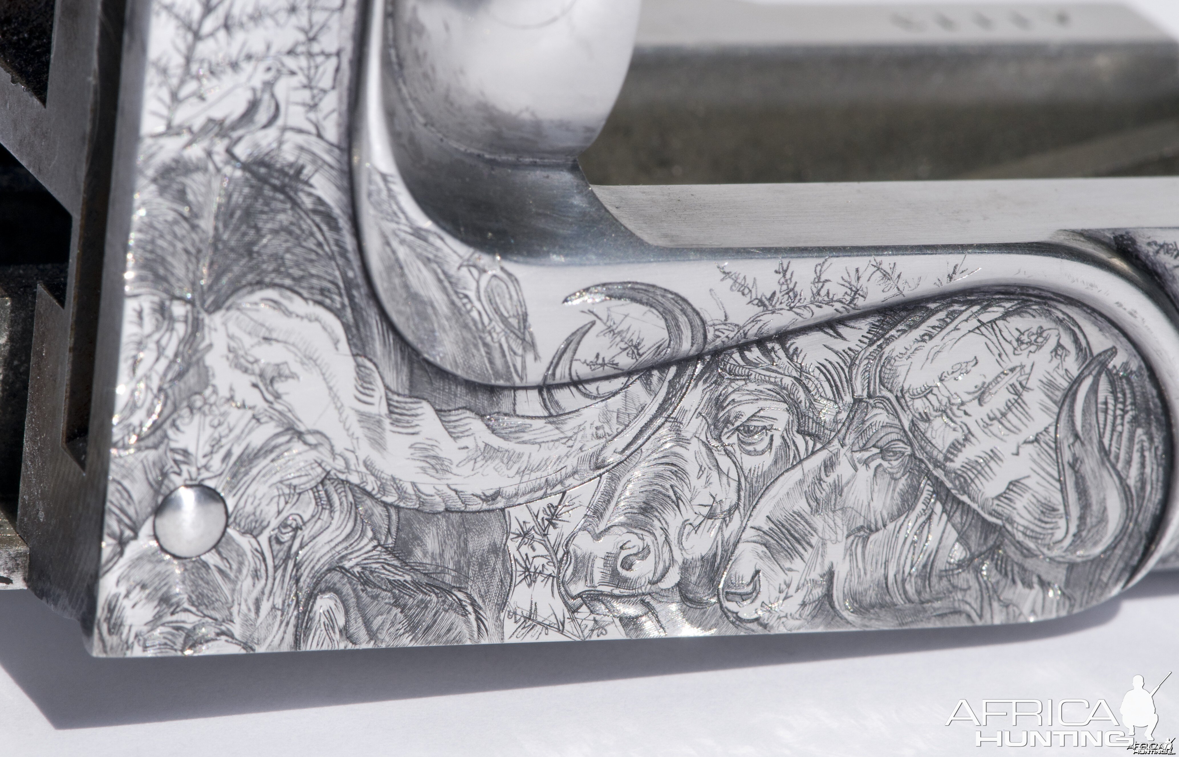 Cape Buffalo Engraving on Double Rifle