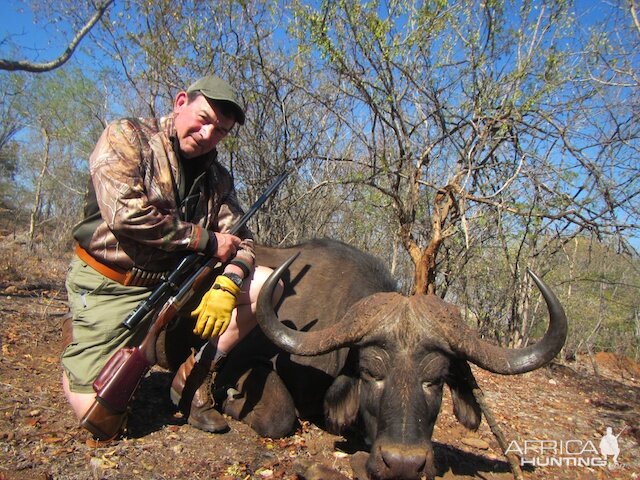 Cape Buffalo Hunt in South Africa