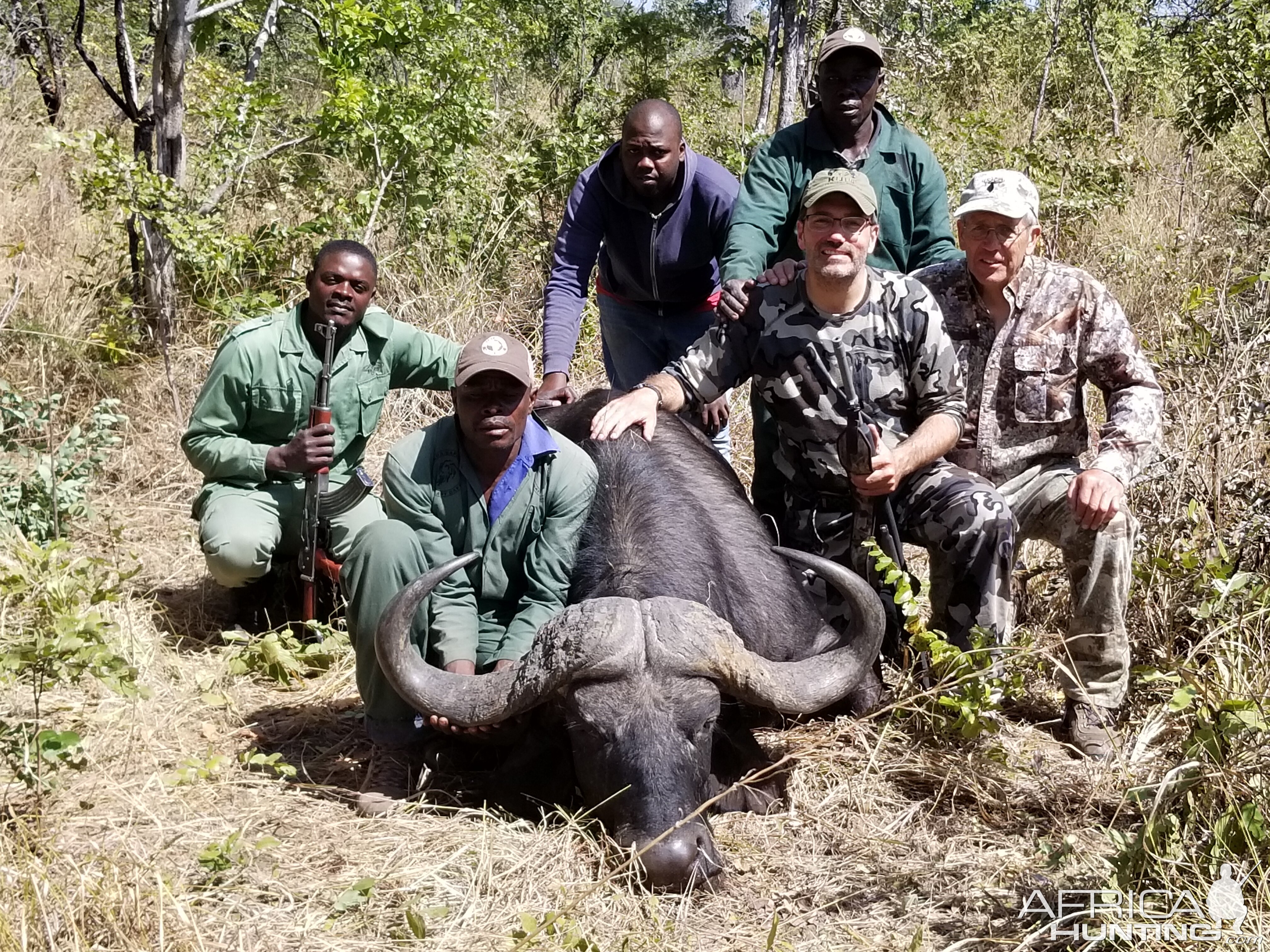 Cape Buffalo Hunt in Tanzania