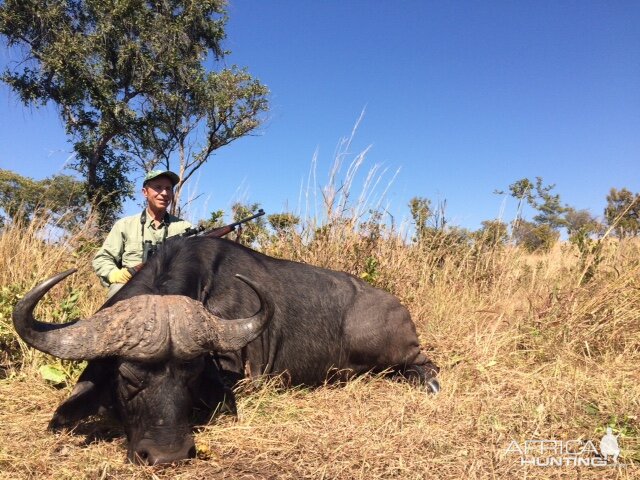 Cape Buffalo Hunt in Zimbabwe | AfricaHunting.com