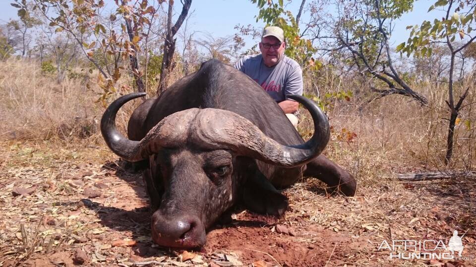 Cape Buffalo Hunt in Zimbabwe | AfricaHunting.com