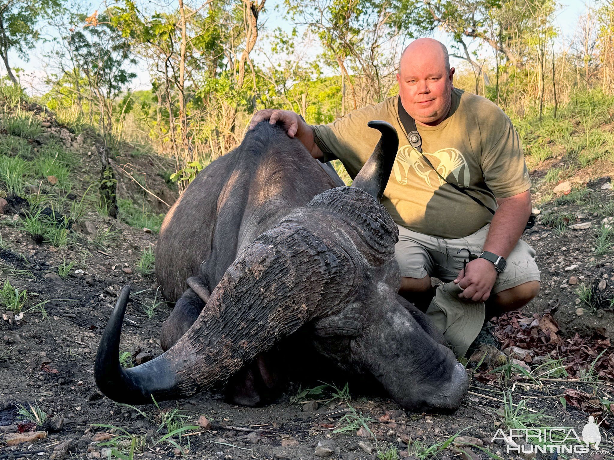 Cape Buffalo Hunt Mozambique