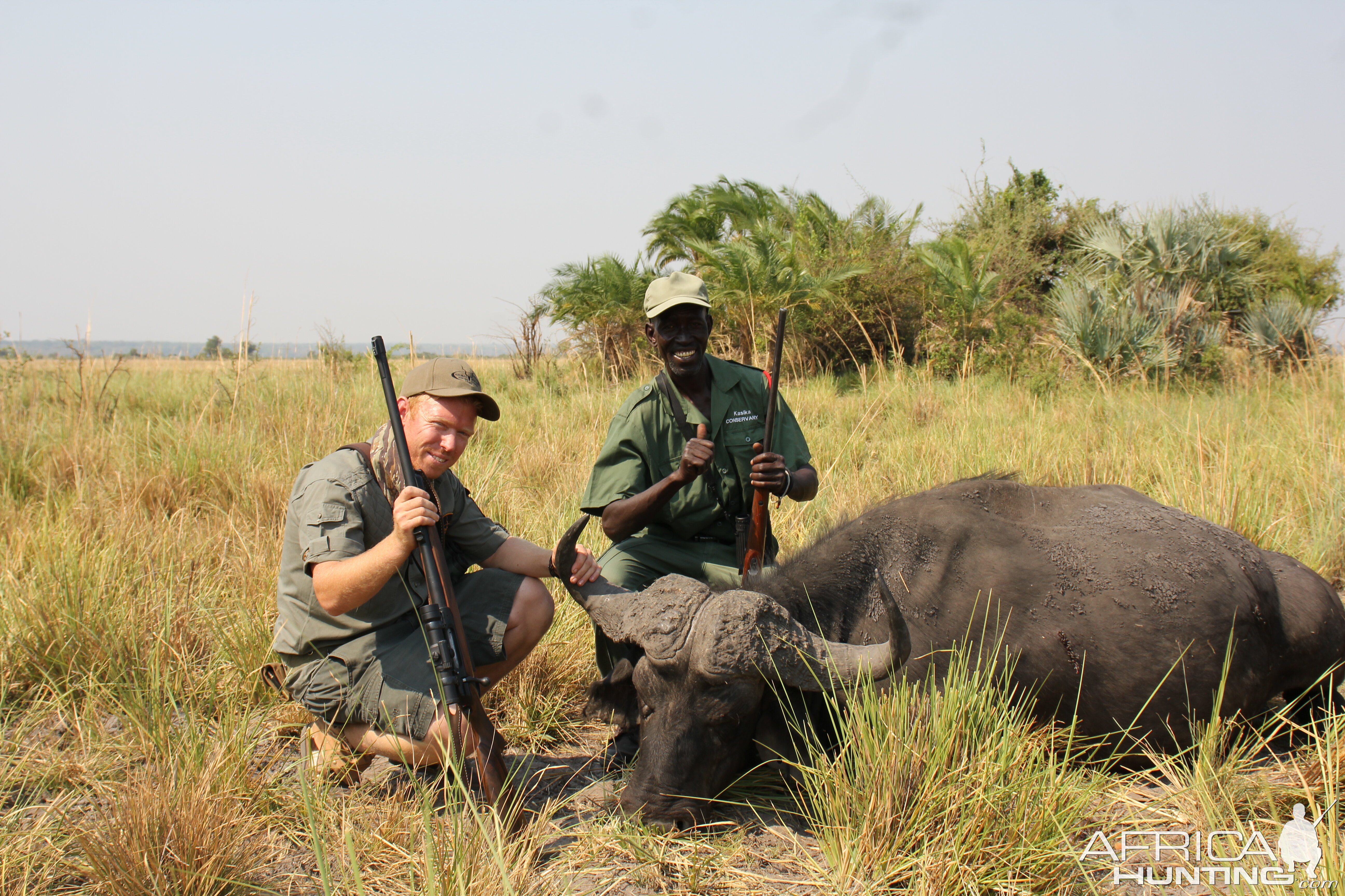 Cape Buffalo Hunt Namibia