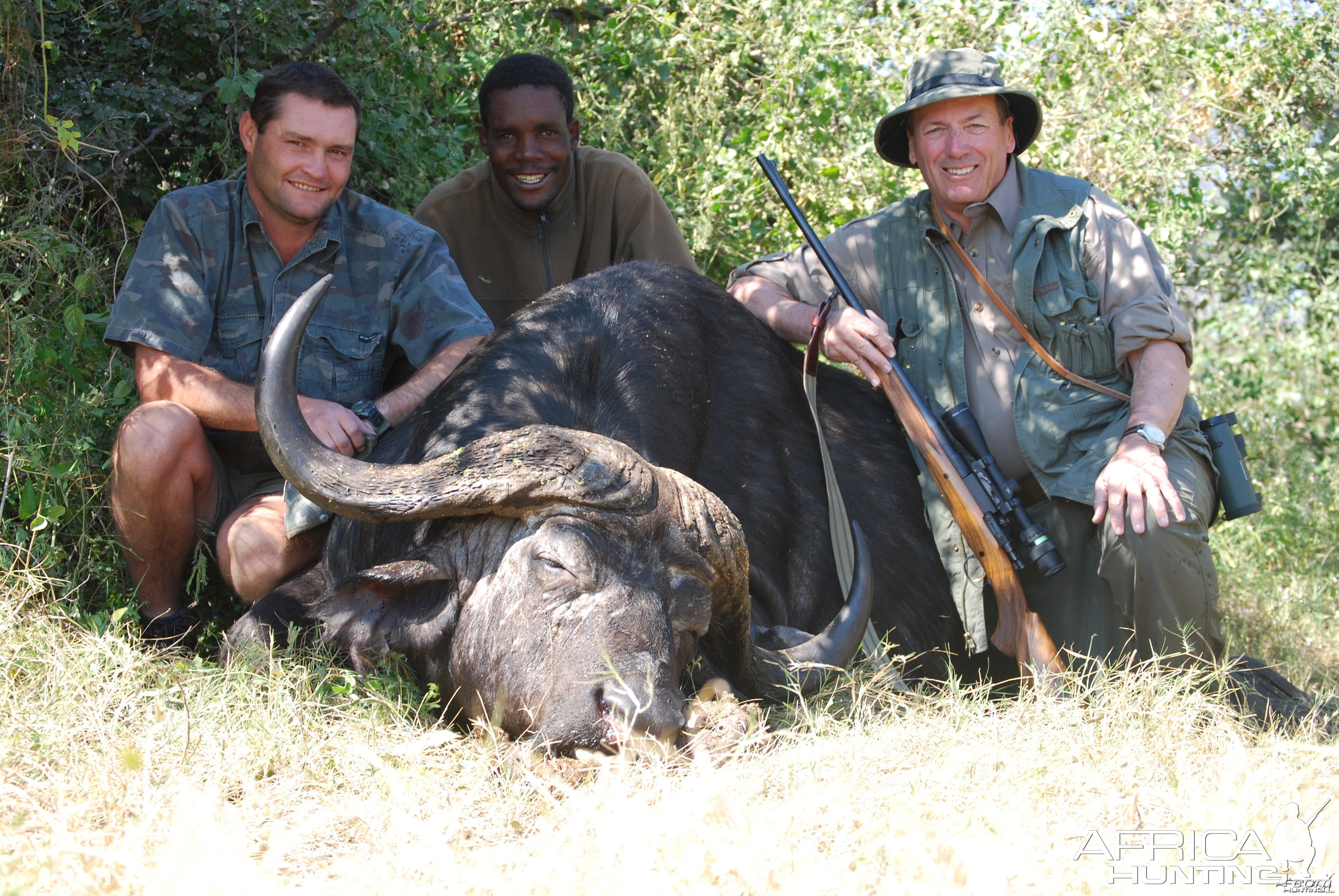 Cape Buffalo Hunt Namibia