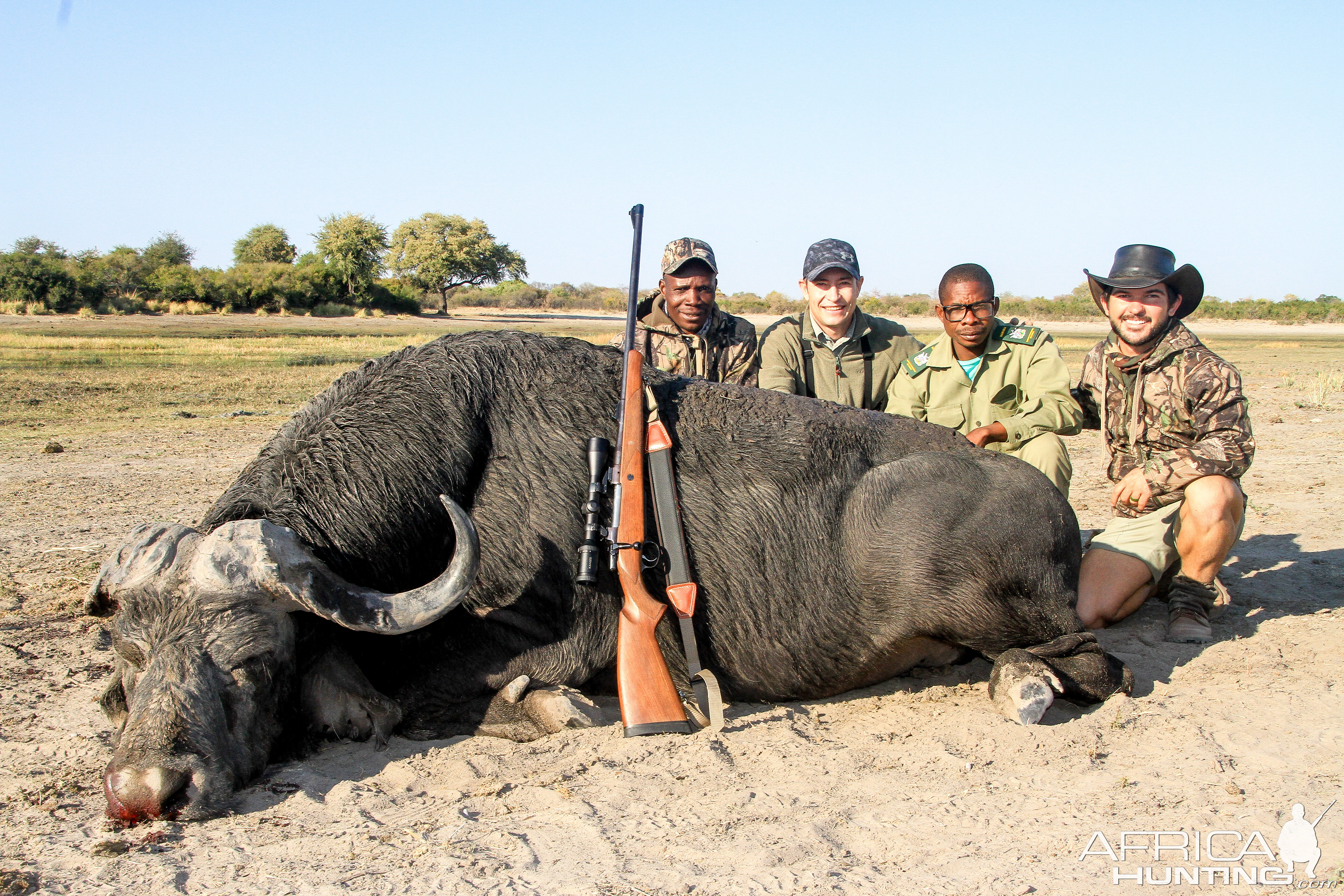 Cape Buffalo Hunt Namibia