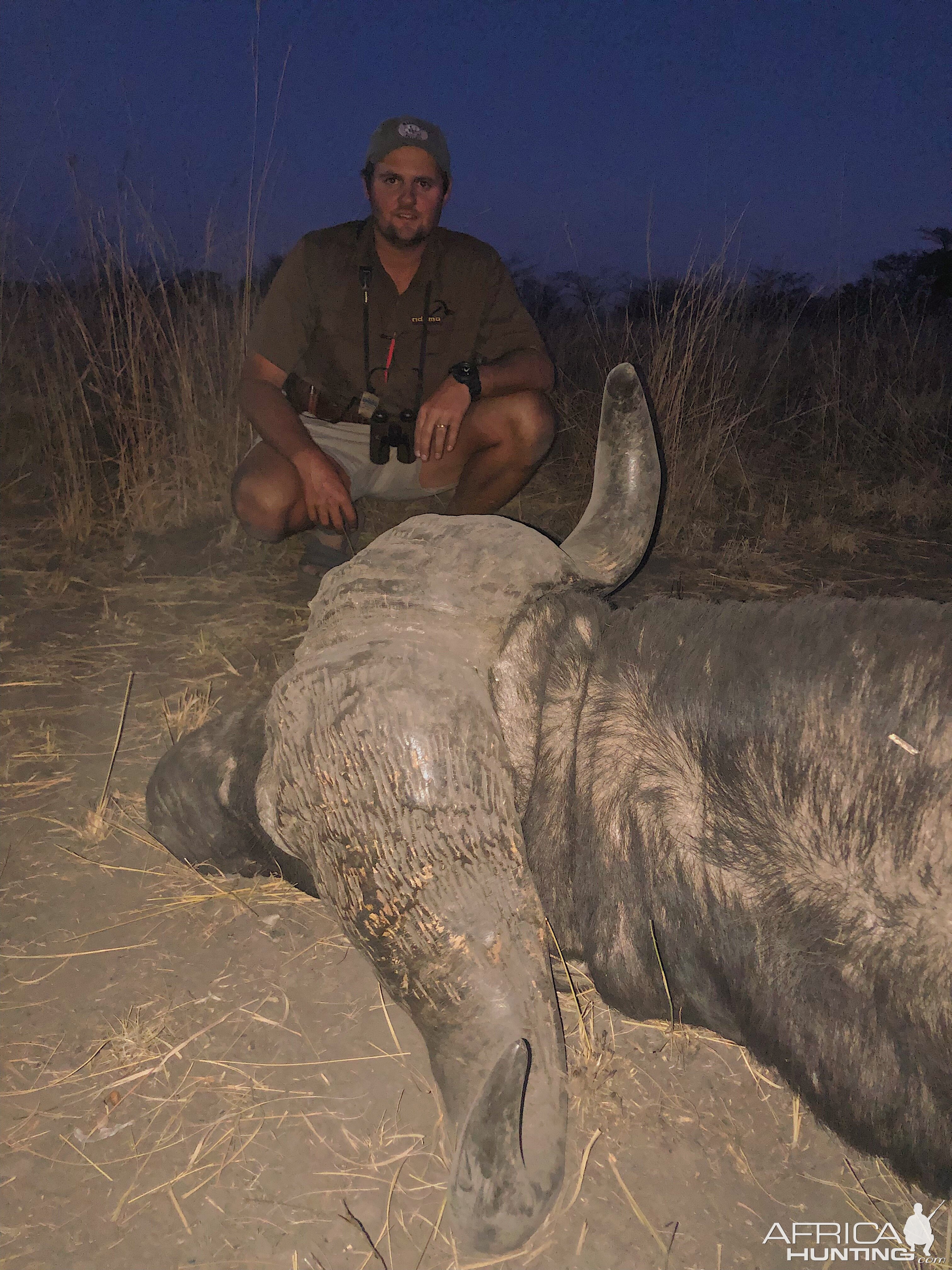 Cape Buffalo Hunt Namibia