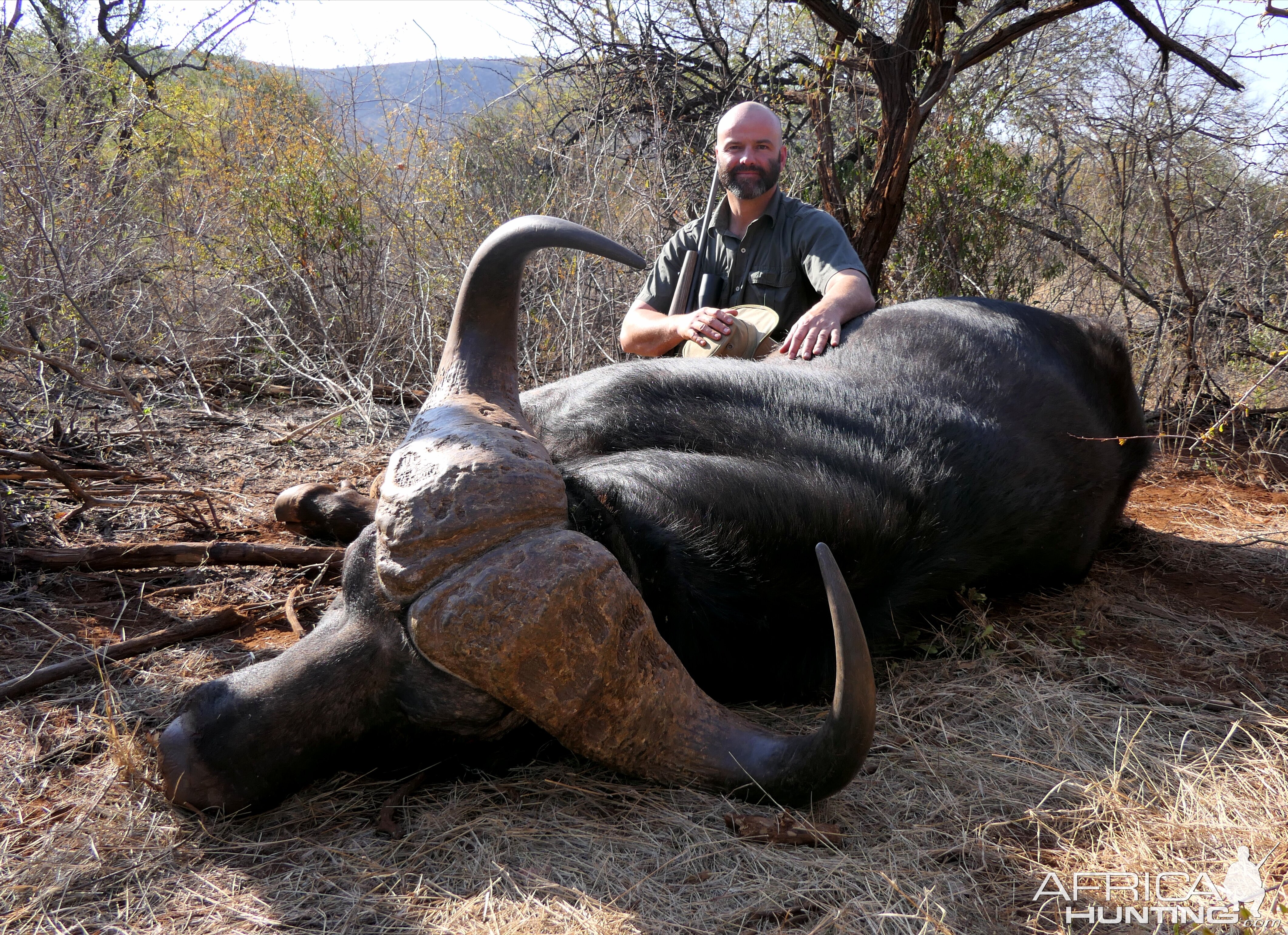 Cape Buffalo Hunt South Africa