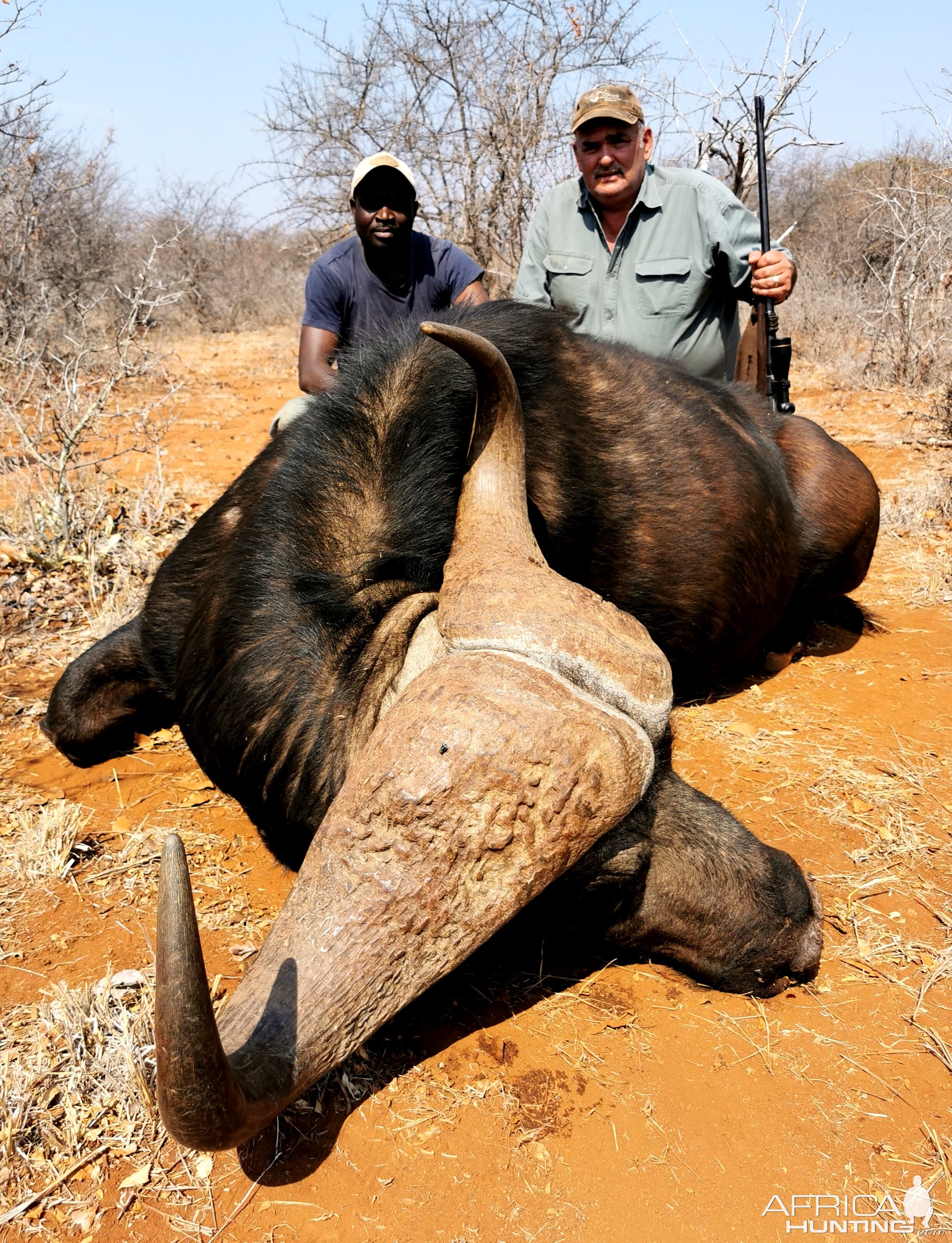 Cape Buffalo Hunt South Africa