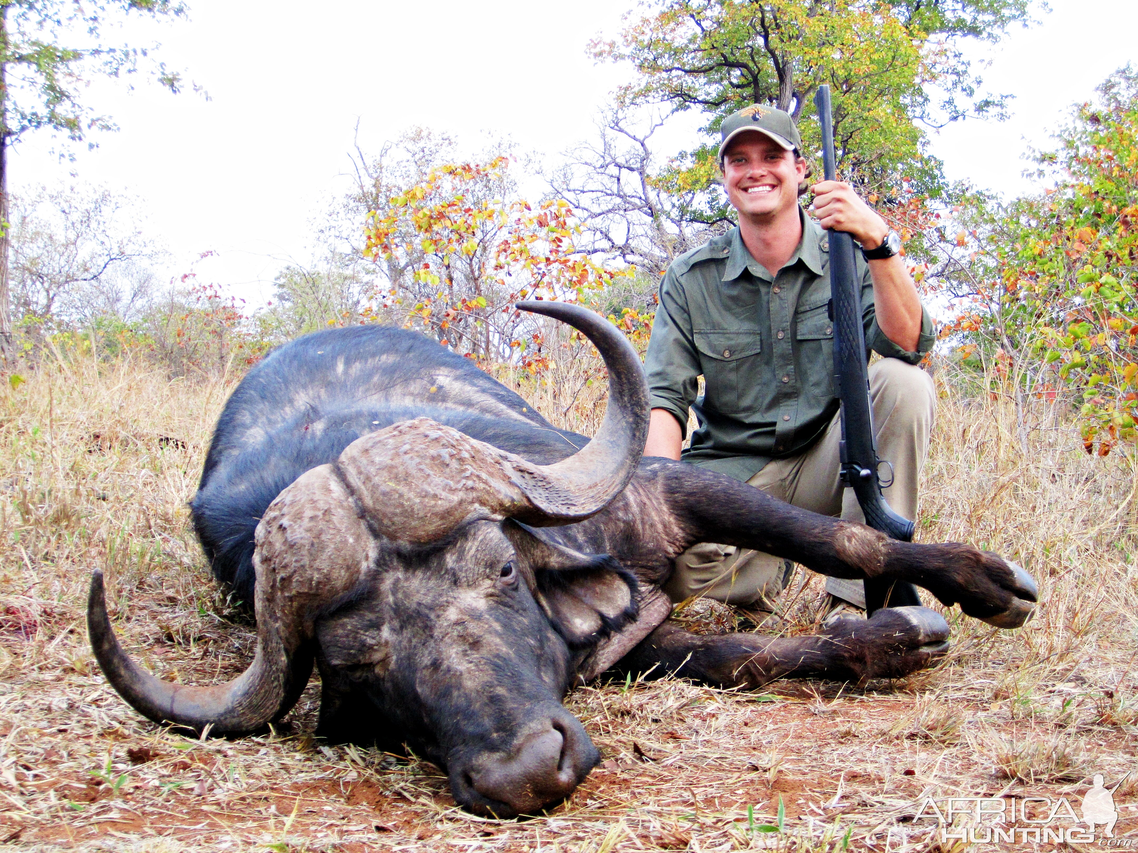 Cape Buffalo Hunt South Africa