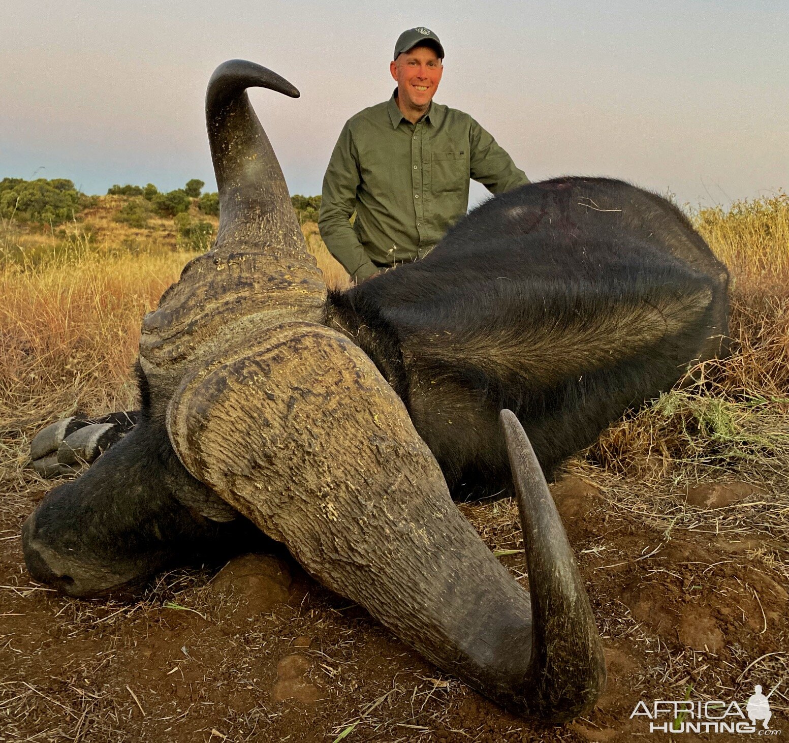 Cape Buffalo hunt South Africa