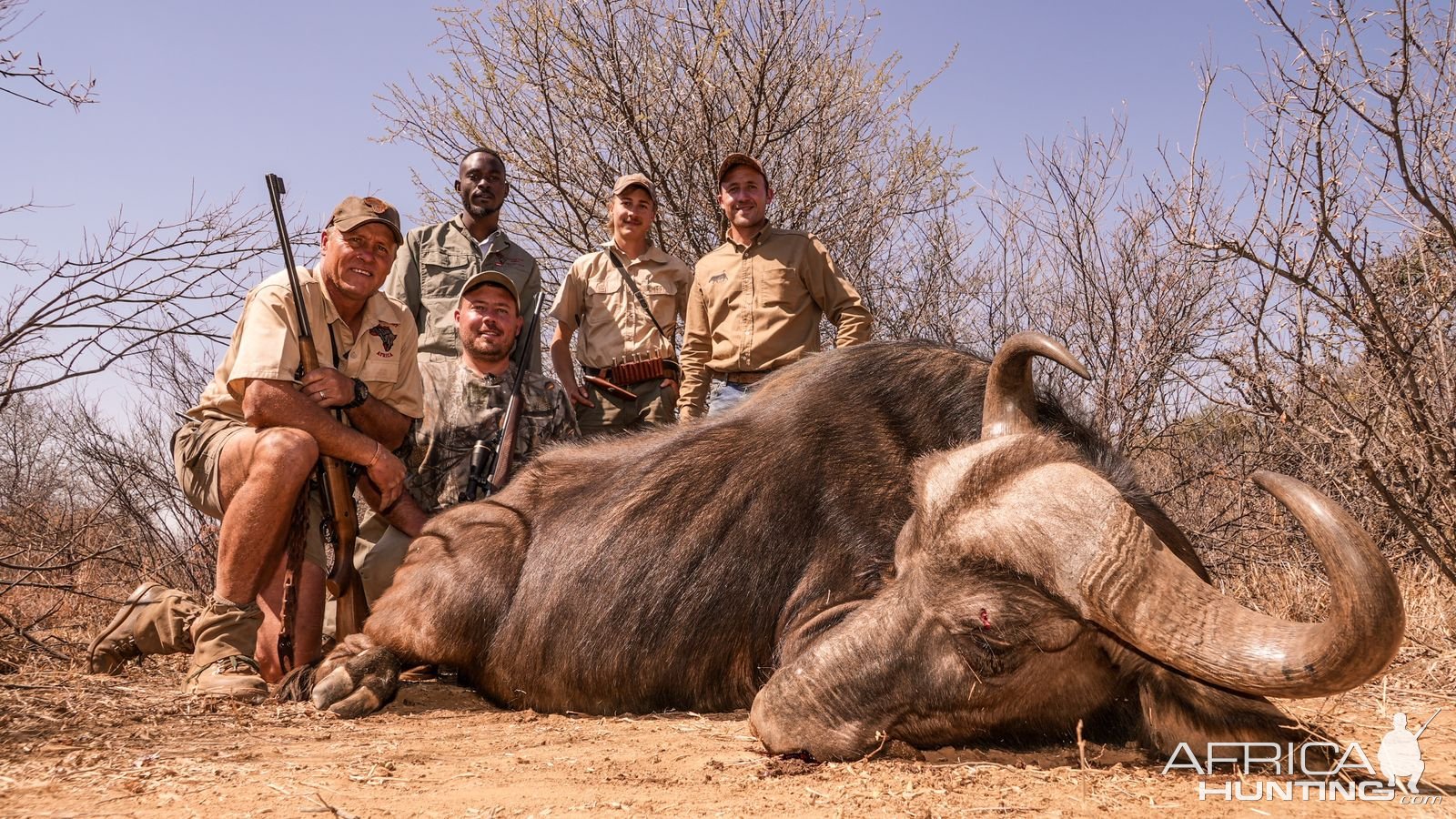 Cape Buffalo Hunt South Africa