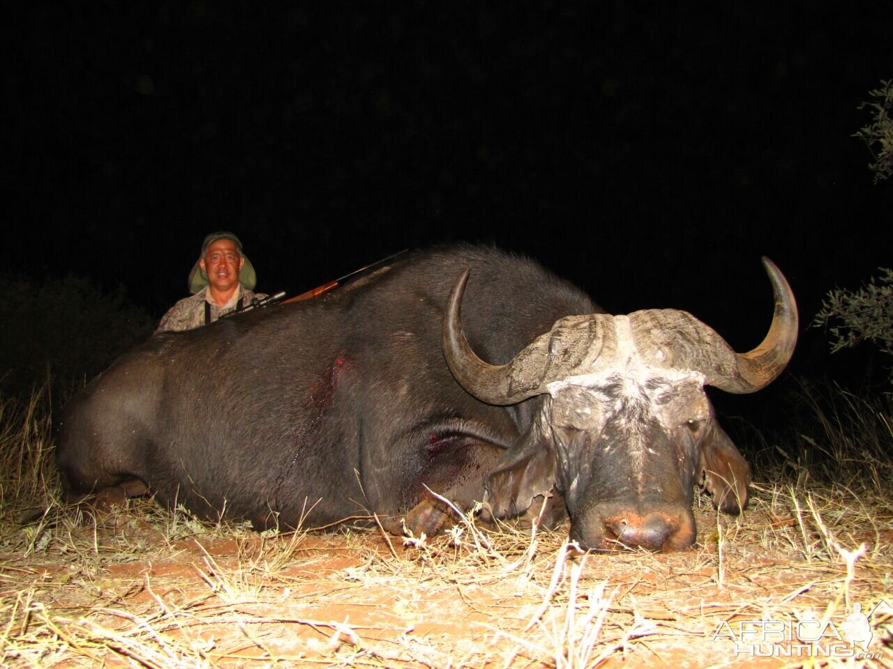 Cape Buffalo Hunt South Africa | AfricaHunting.com