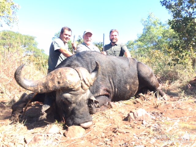 Cape Buffalo Hunt South Africa