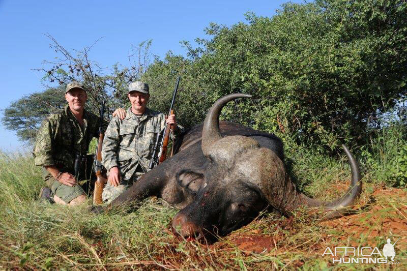 Cape Buffalo Hunt South Africa