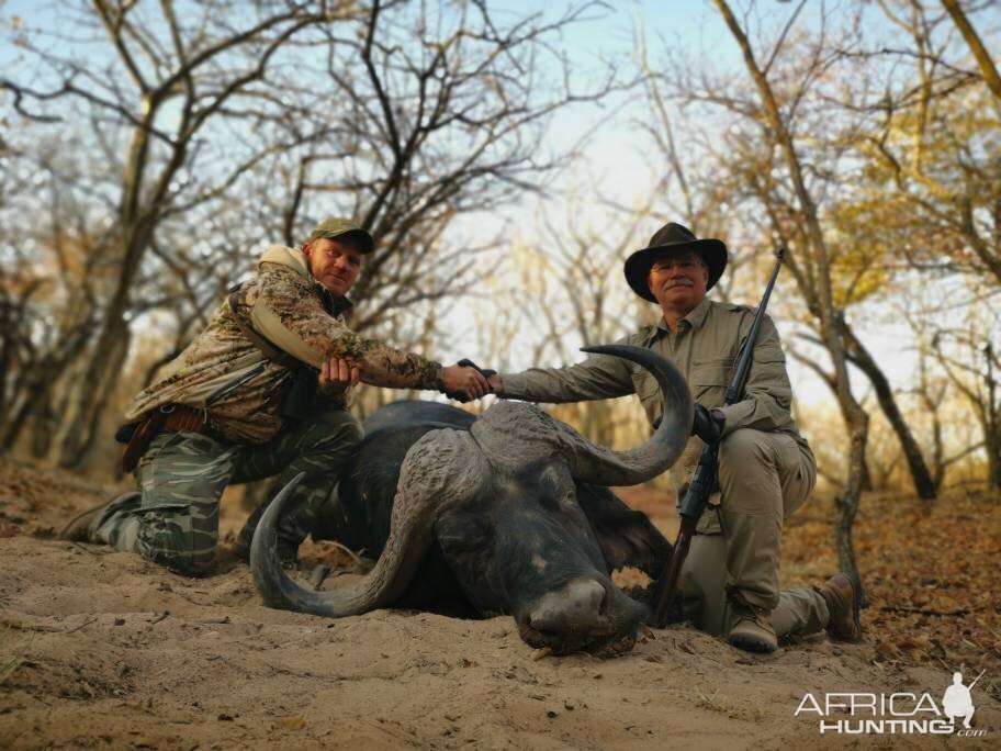 Cape Buffalo Hunt South Africa | AfricaHunting.com