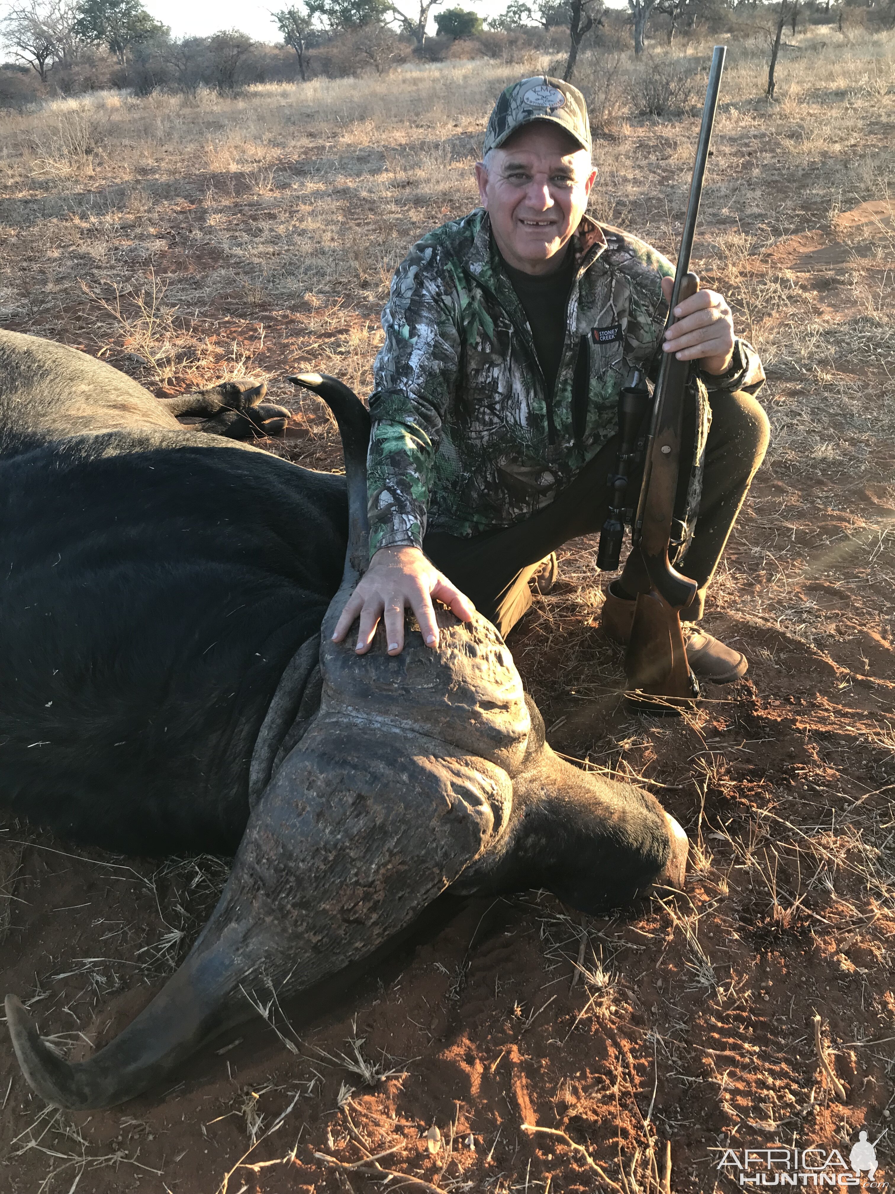 Cape Buffalo Hunt South Africa