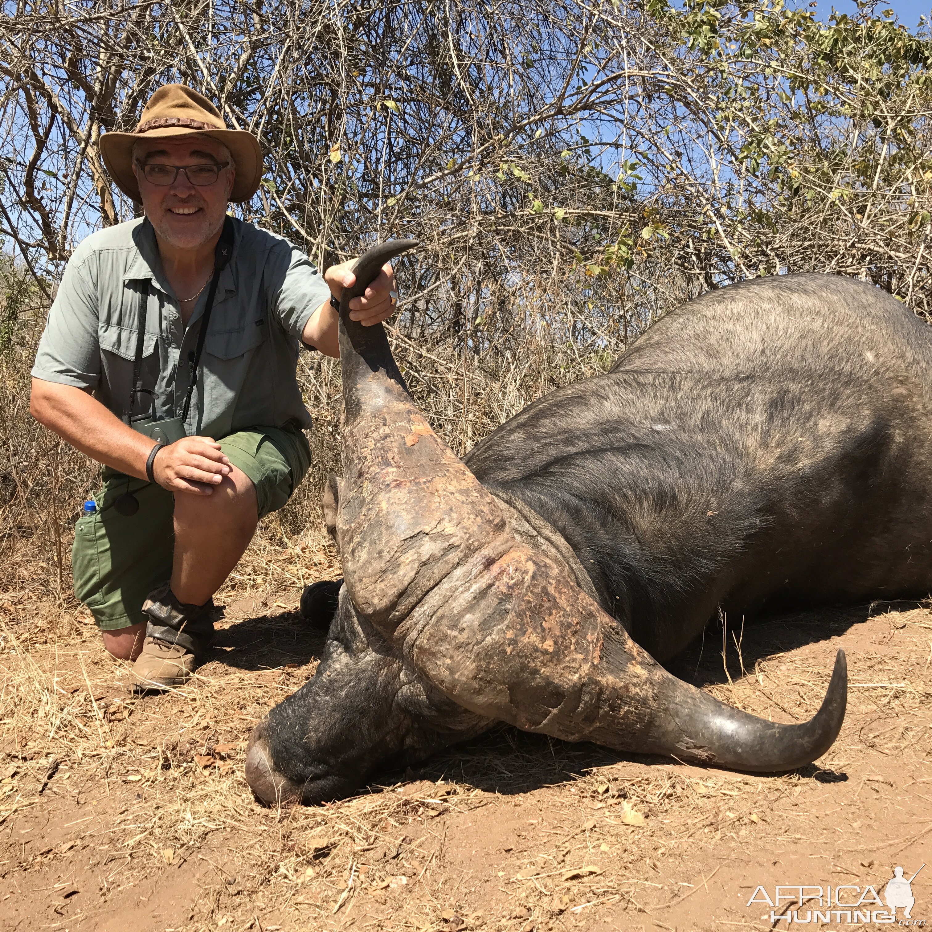 Cape Buffalo Hunt Zimbabwe