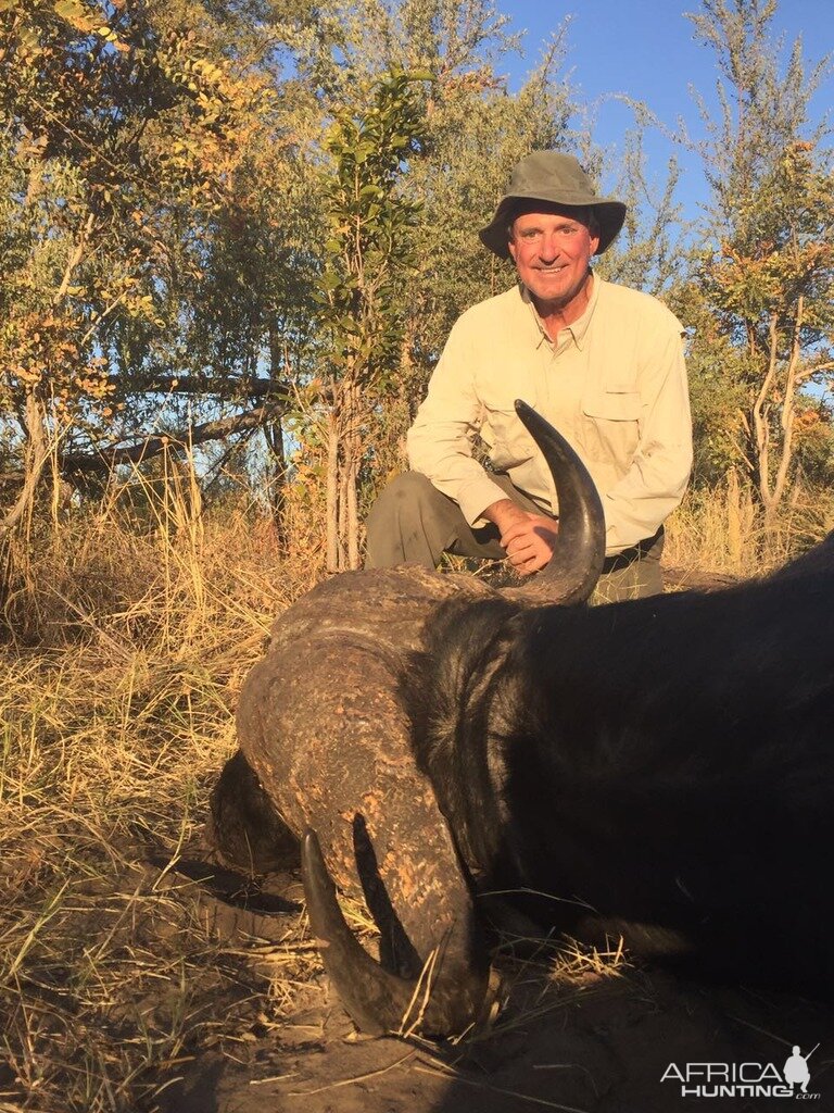 Cape Buffalo Hunt Zimbabwe | AfricaHunting.com