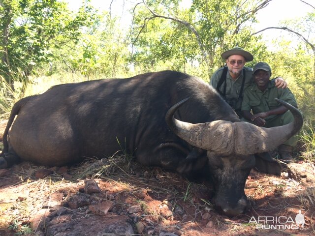 Cape Buffalo Hunt Zimbabwe | AfricaHunting.com