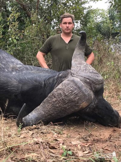 Cape Buffalo Hunt Zimbabwe | AfricaHunting.com