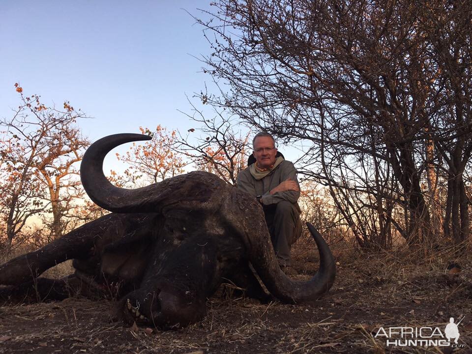 Cape Buffalo Hunt Zimbabwe | AfricaHunting.com