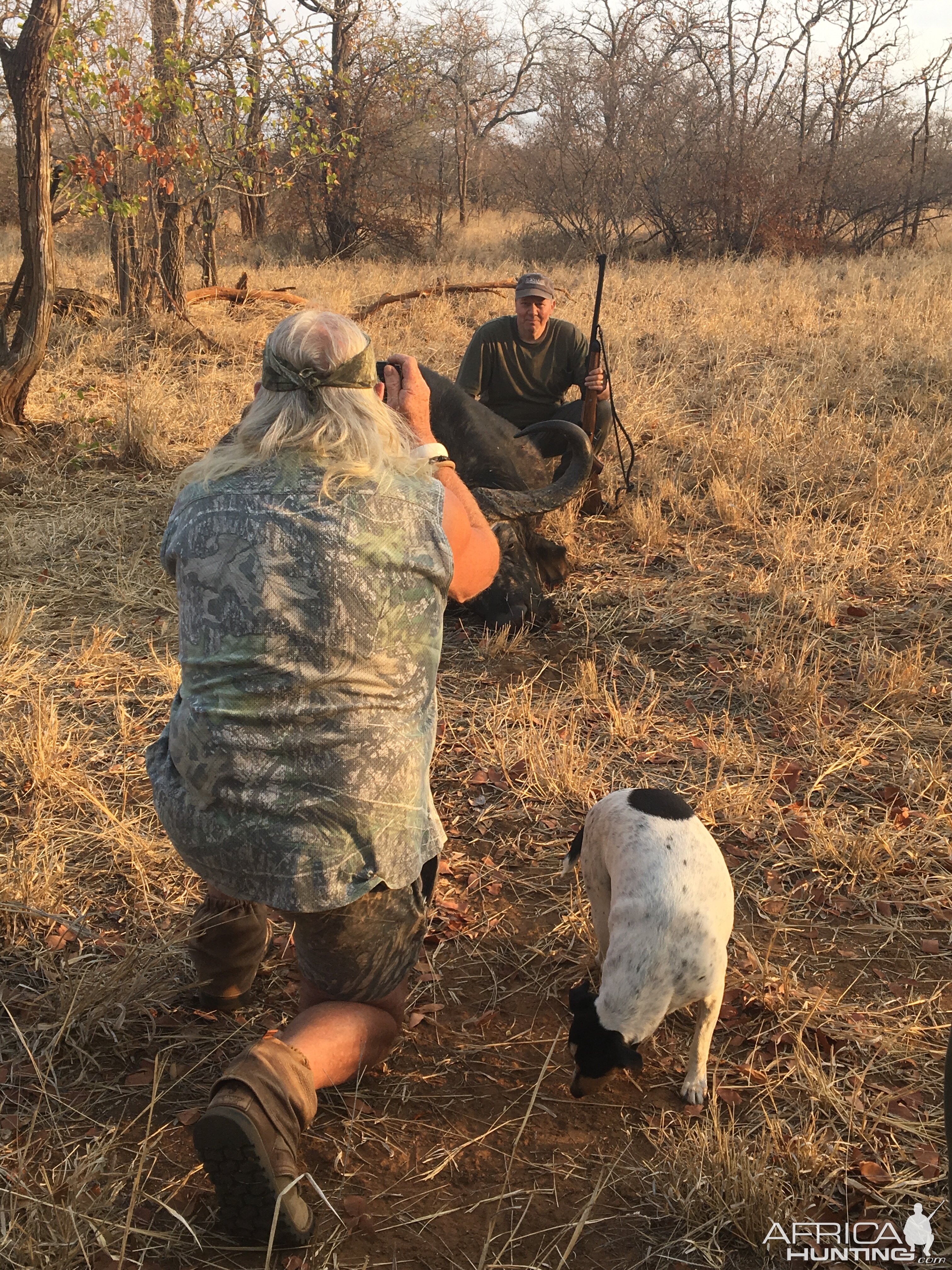 Cape Buffalo Hunt Zimbabwe