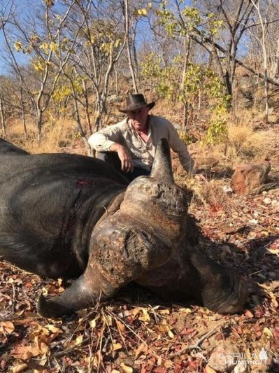 Cape Buffalo Hunt Zimbabwe