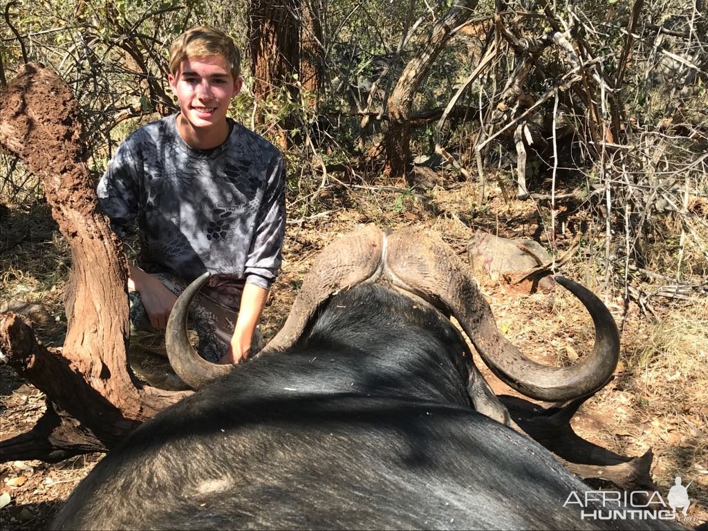 Cape Buffalo Hunt