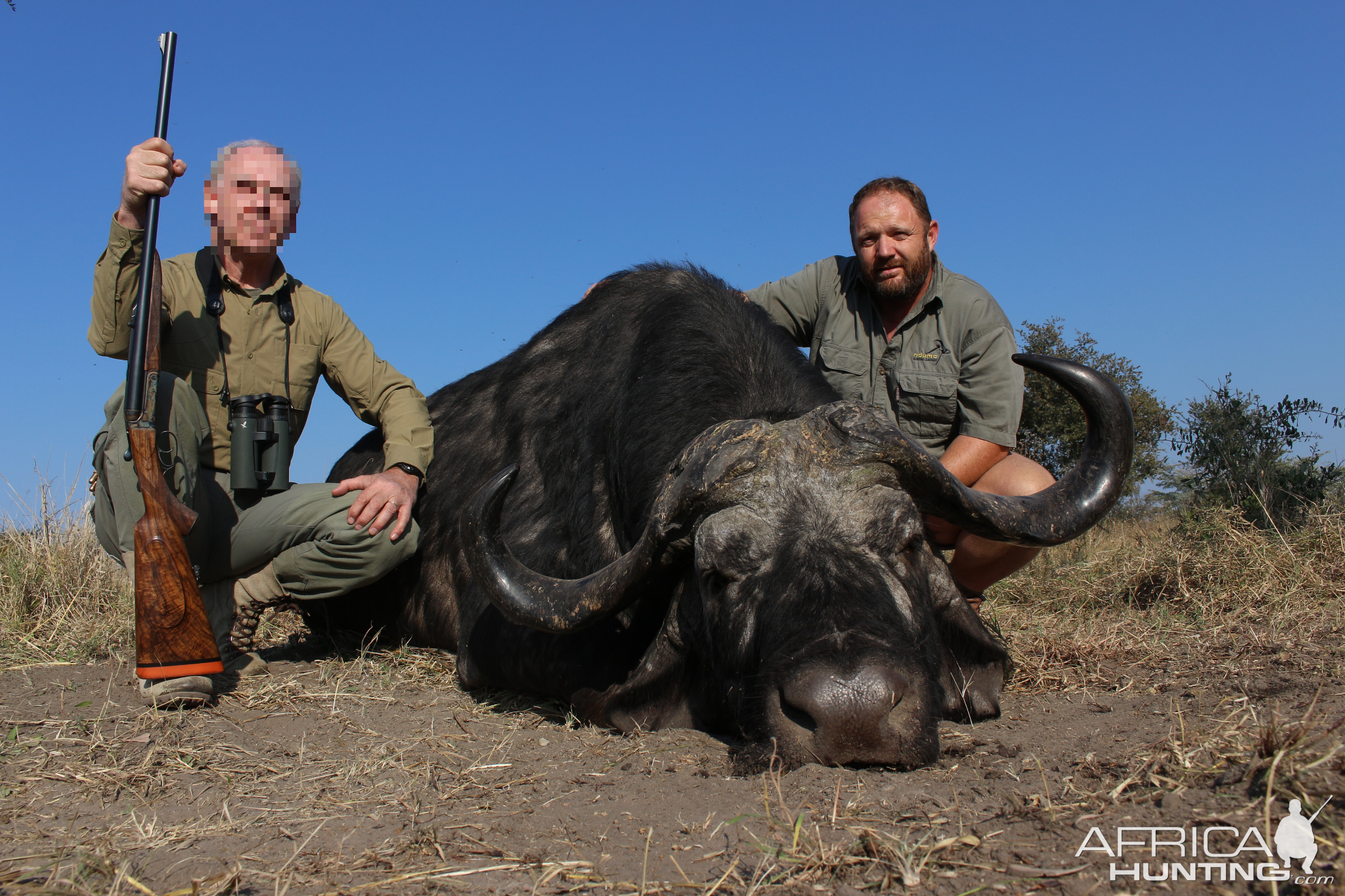 Cape Buffalo Hunt