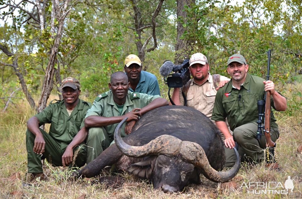 Cape Buffalo Hunt