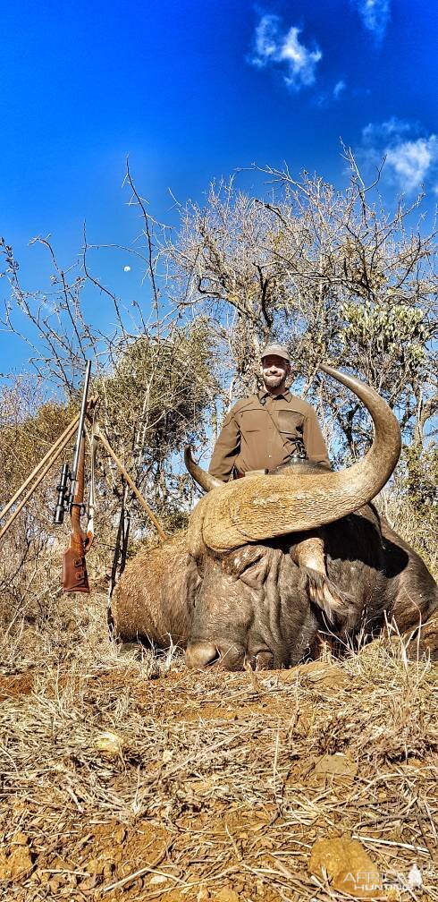 Cape Buffalo Hunting in South Africa