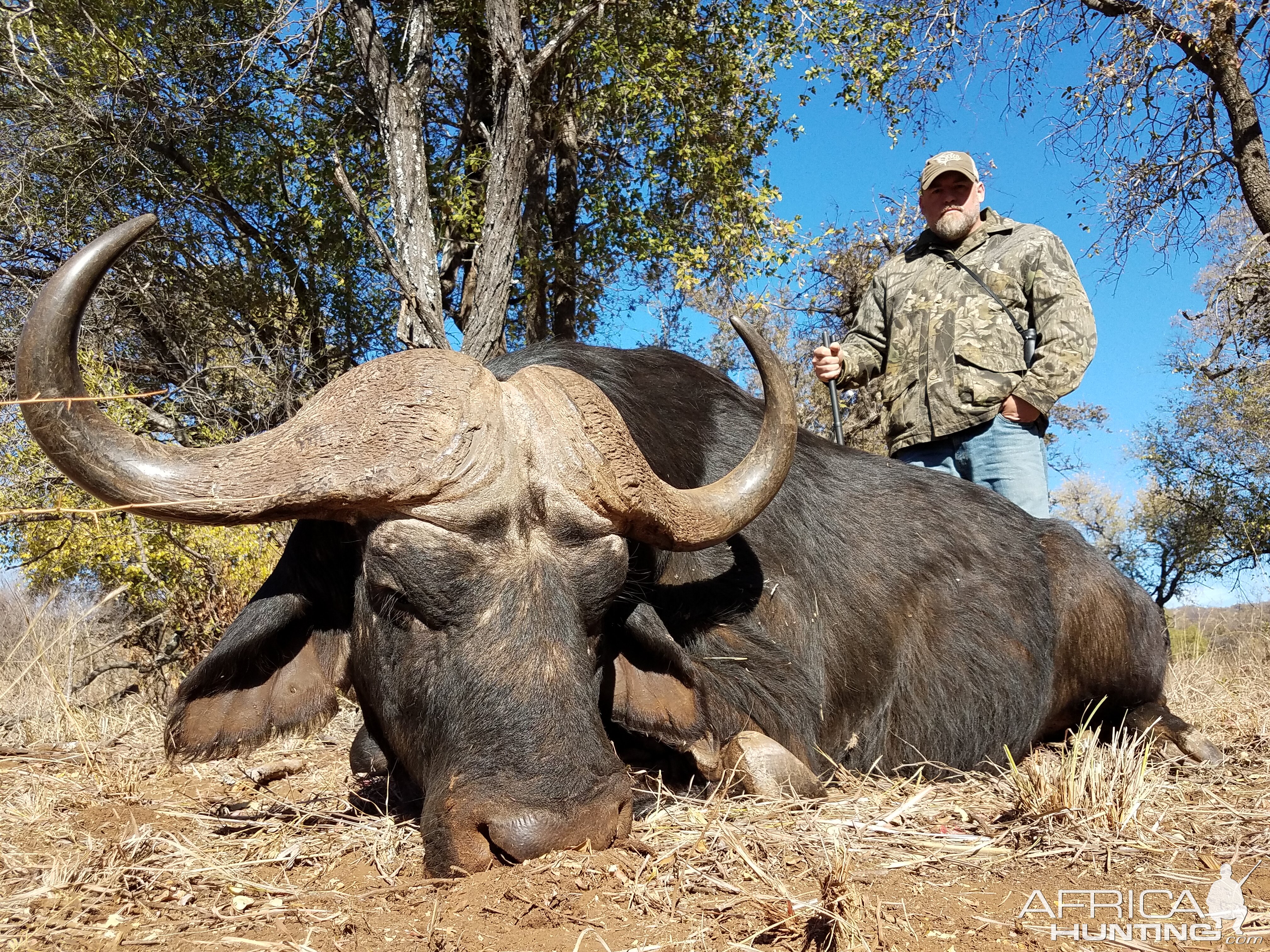 Cape Buffalo Hunting in South Africa