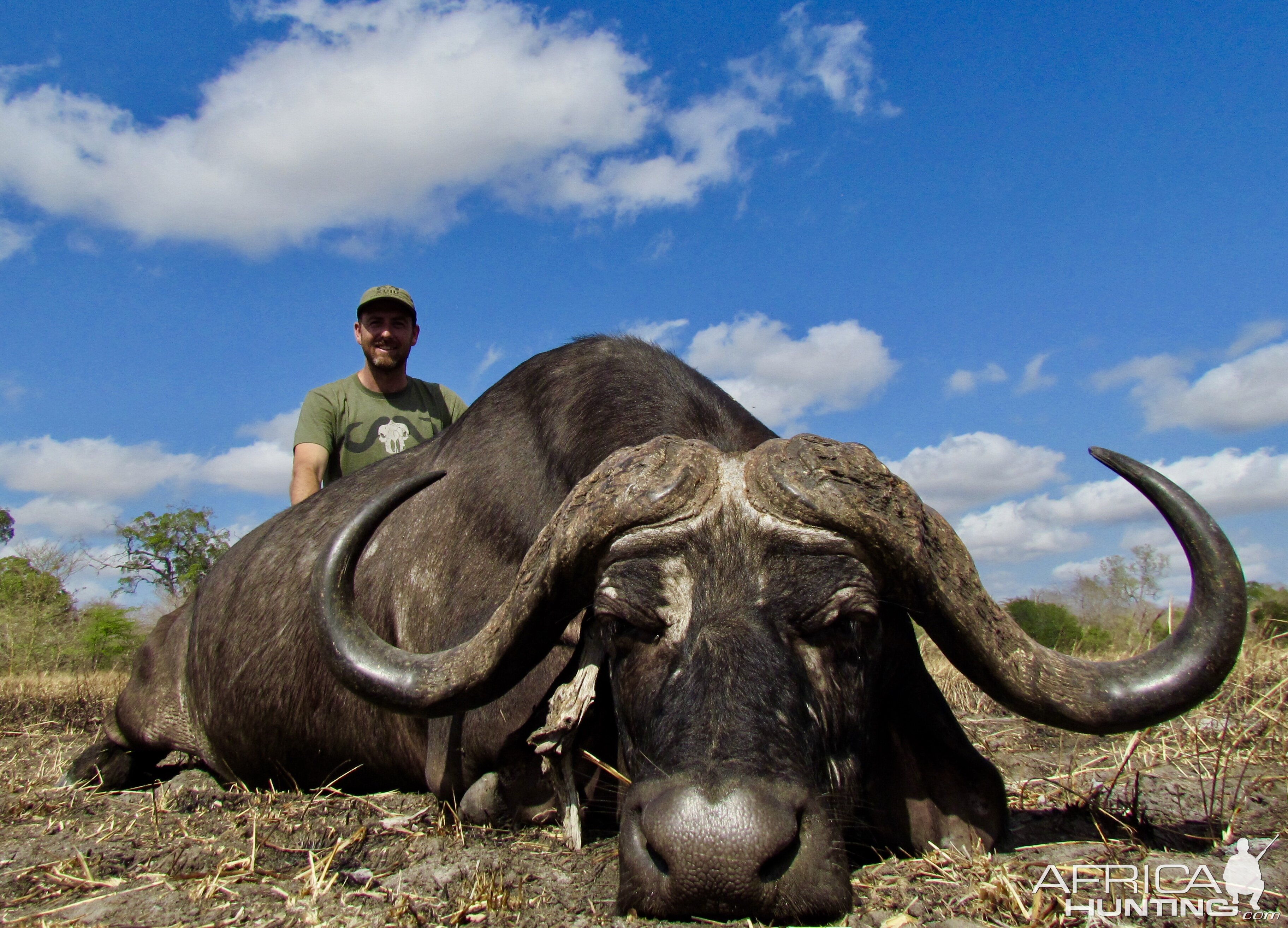 Cape Buffalo Hunting in Tanzania