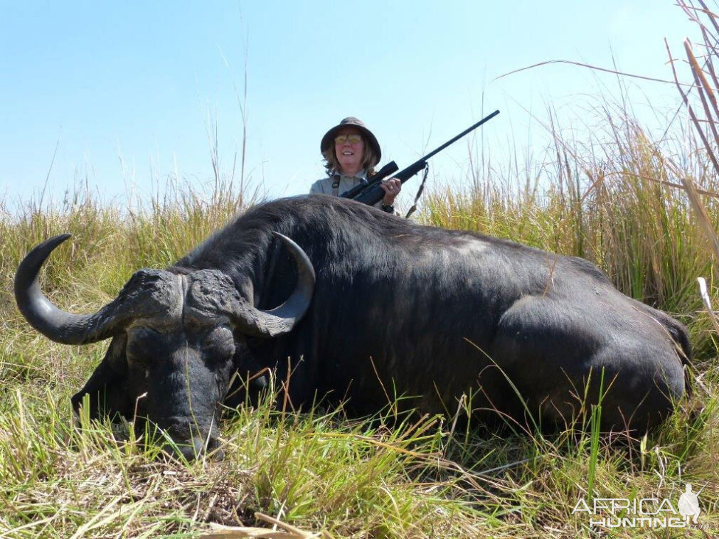 Cape Buffalo Hunting Namibia