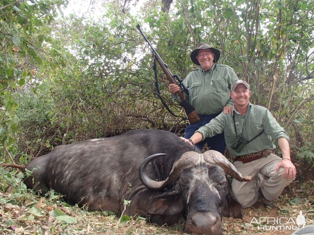 Cape Buffalo Hunting Tanzania