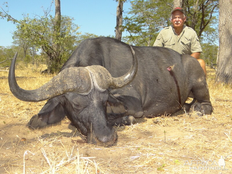 Cape Buffalo Hunting Zimbabwe | AfricaHunting.com